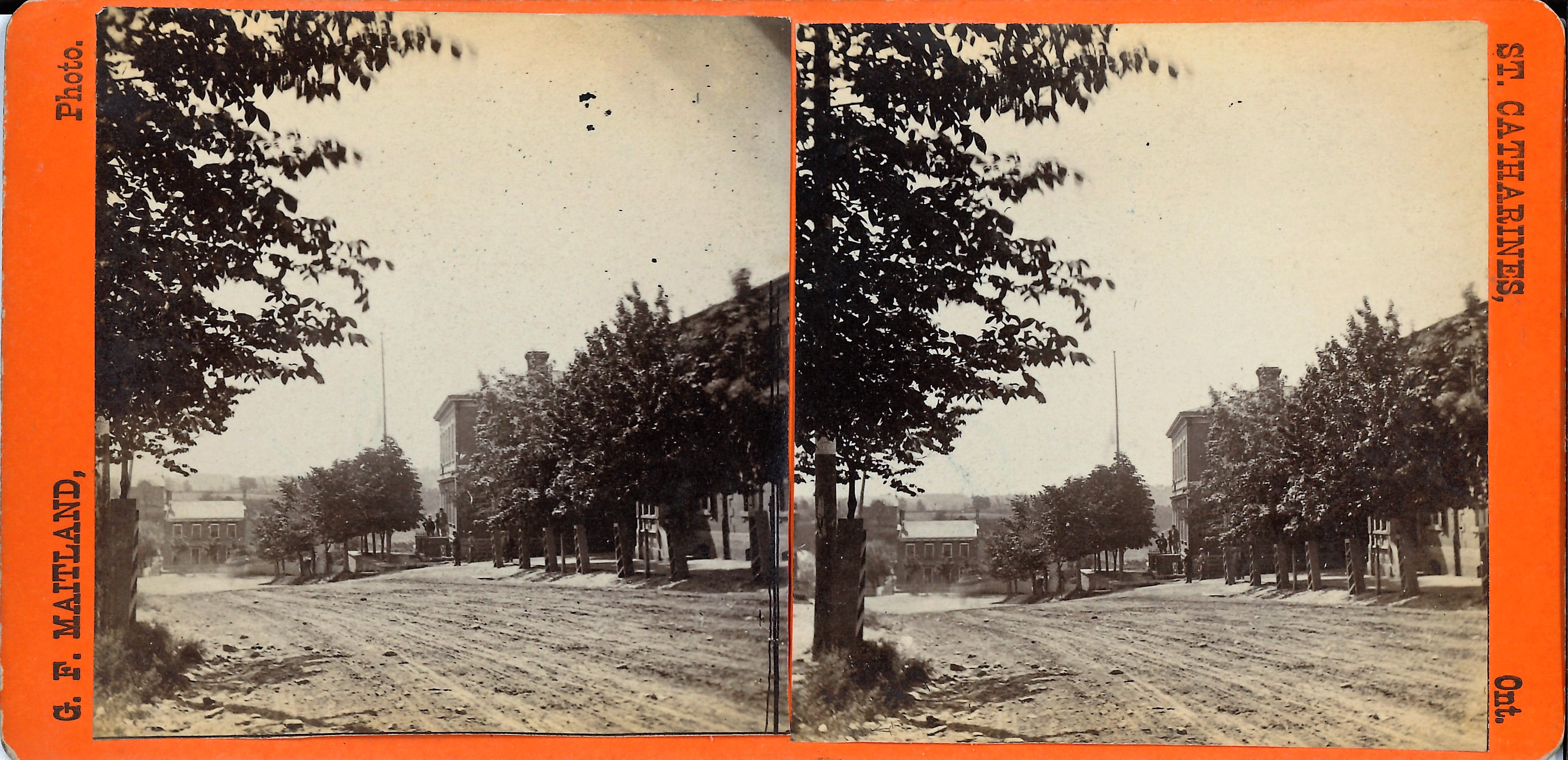 Treelined streetscape of St. Paul Crescent in St. Catharines
